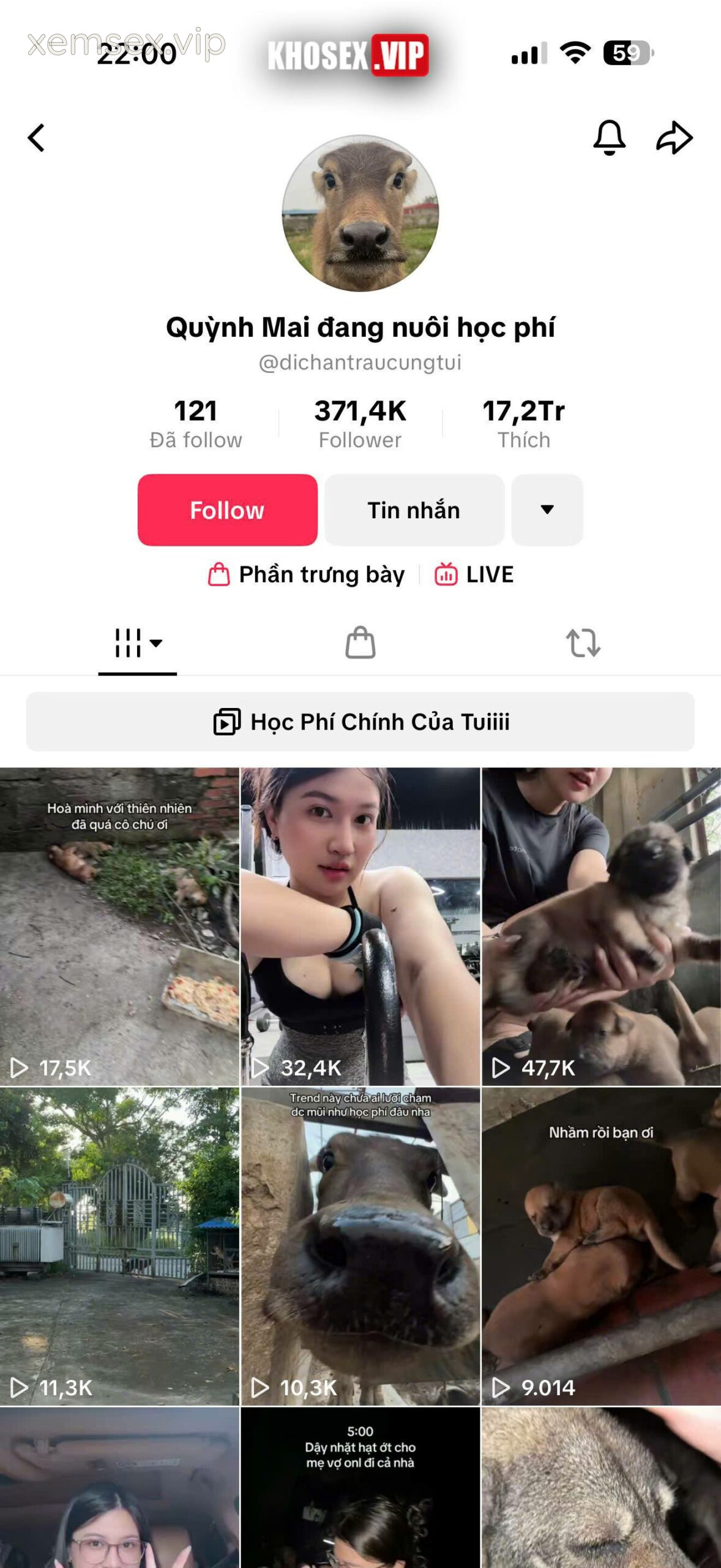 lo-clip-sex-idol-tiktoker-quynh-mai-dang-nuoi-hoc-phi-hinh-01-scaled-1